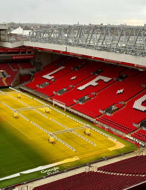 友的外溢